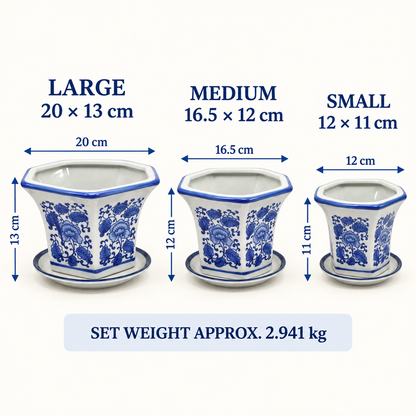 Set of 3 Blue & White Tall Flared Hexagonal Ceramic Planters with Saucers