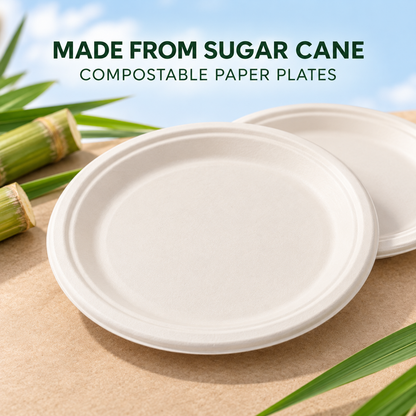 Compostable Paper Plates – 10 Inch, 50 Pack