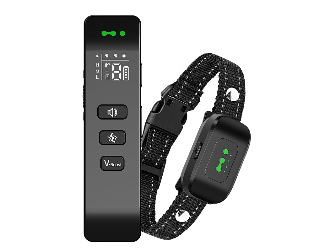 Vibrating Dog Collar No Shock