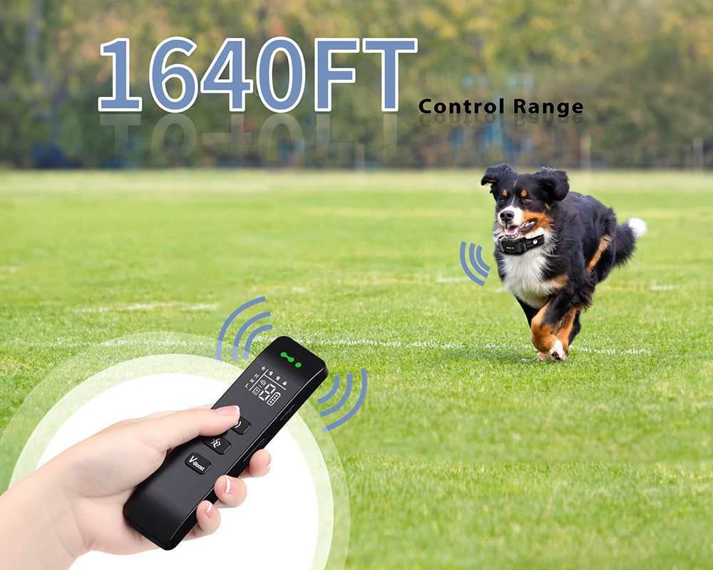 Vibrating Dog Collar No Shock