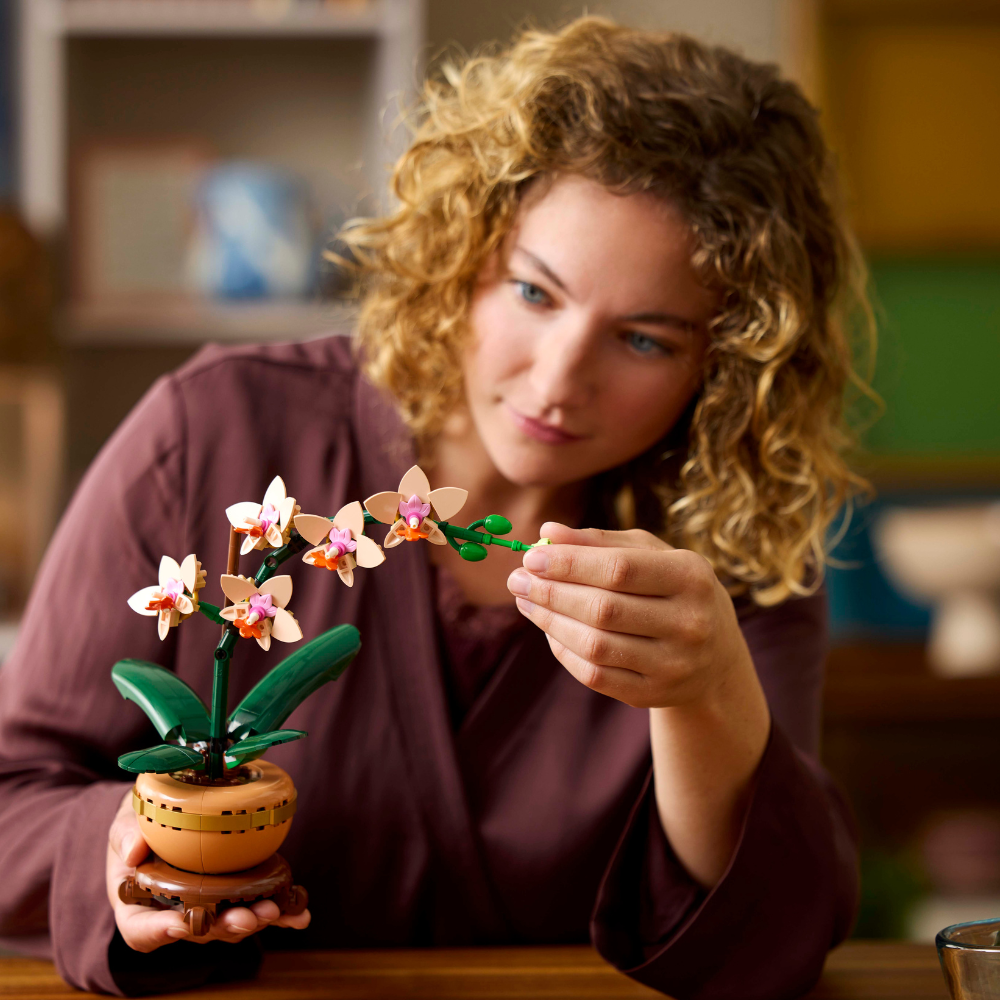 LEGO Botanicals: Mini Orchid (10343)