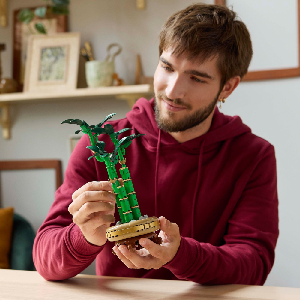LEGO Botanicals: Lucky Bamboo (10344)