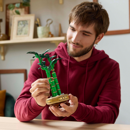 LEGO Botanicals: Lucky Bamboo (10344)