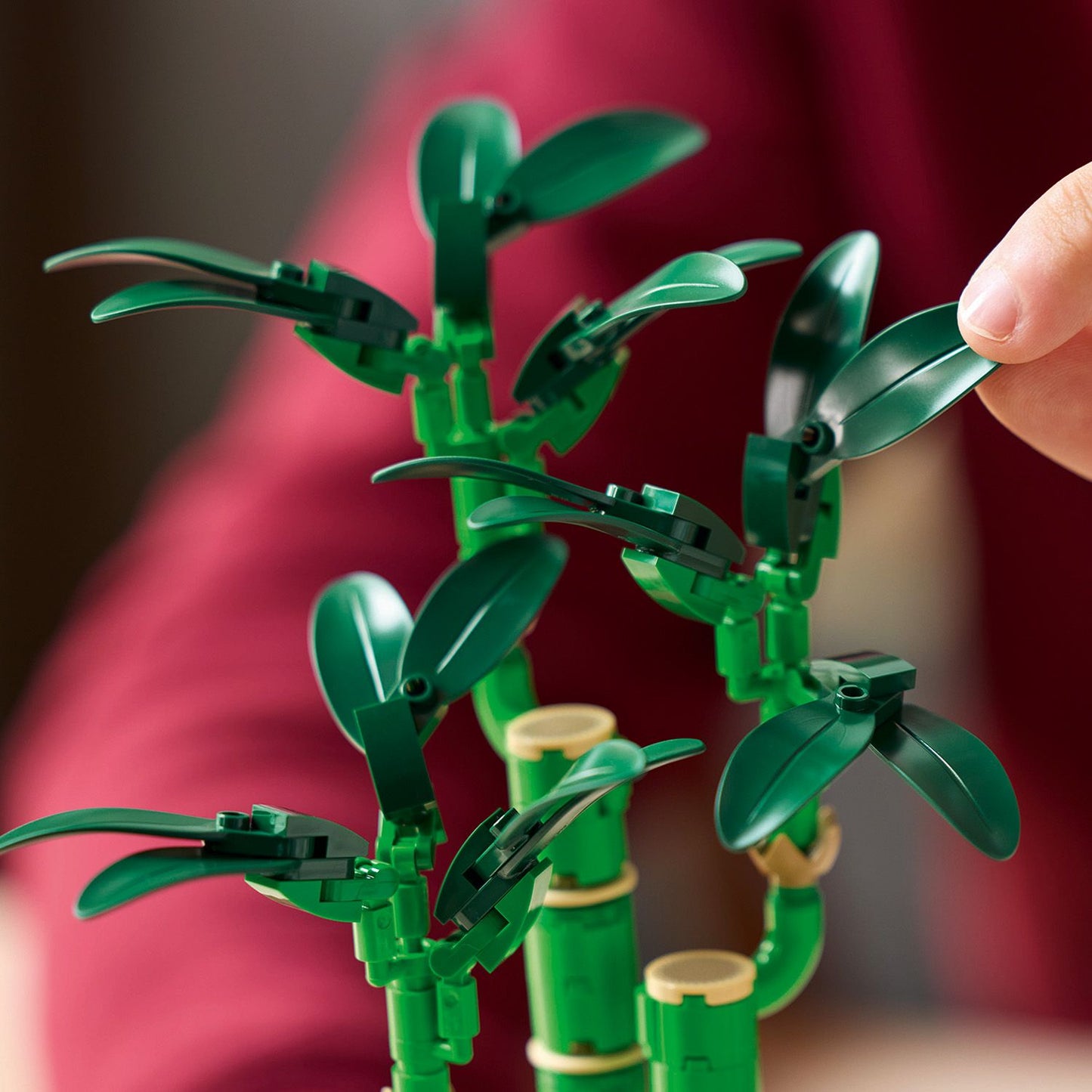 LEGO Botanicals: Lucky Bamboo (10344)