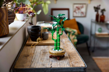 LEGO Botanicals: Lucky Bamboo (10344)