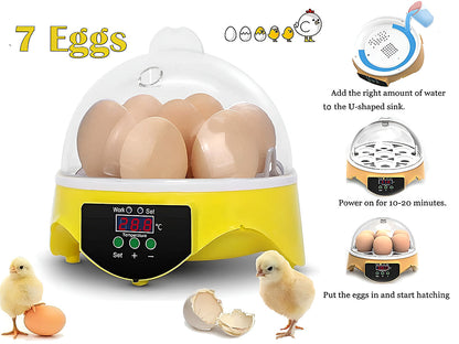 Egg Incubator Hatcher