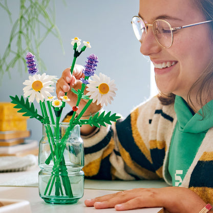 LEGO Botanicals: Daisies (11508)