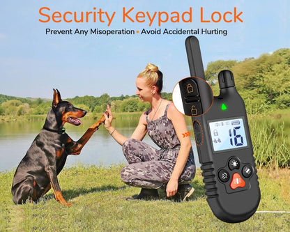 Dog Training Collar with LED Light