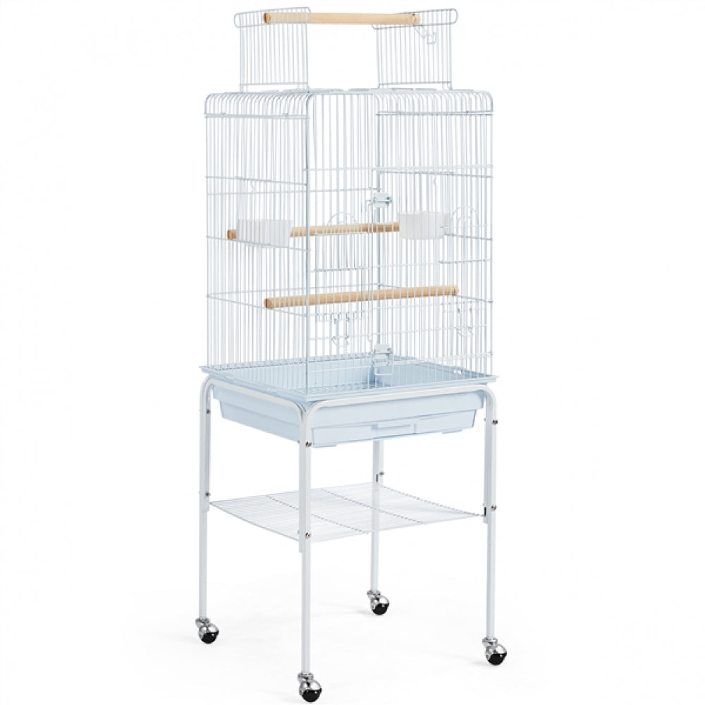 Parrot Cage