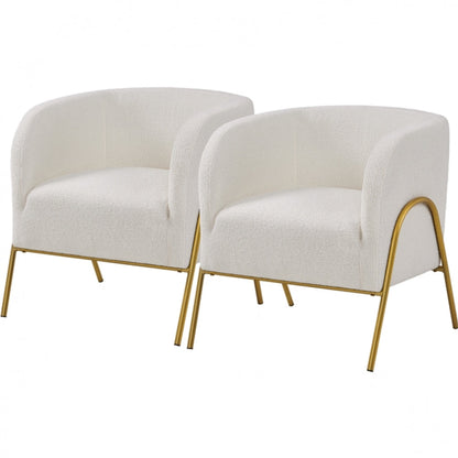 2pcs Contemporary Accent Armchair