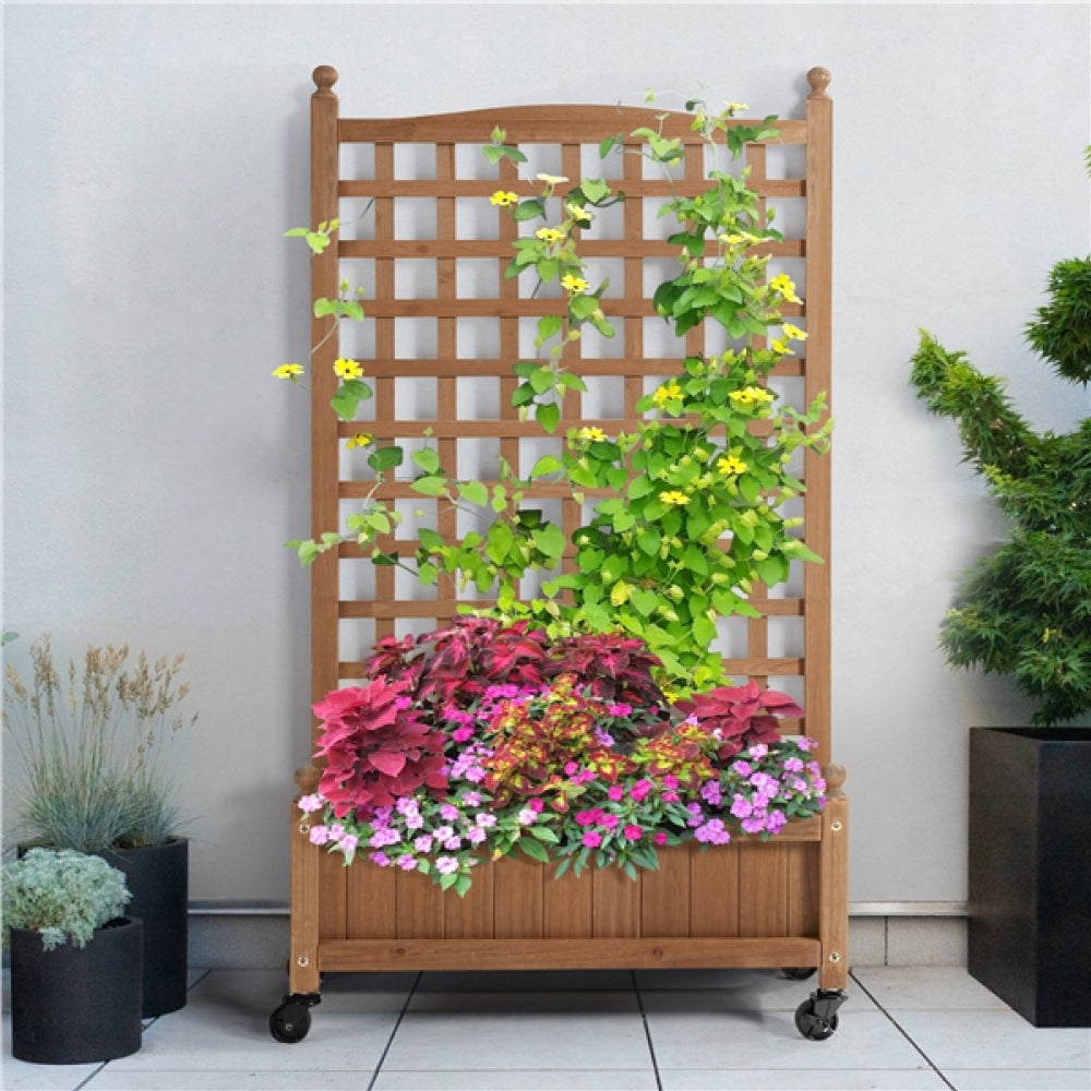 Raised Garden Bed with Trellis planter Box