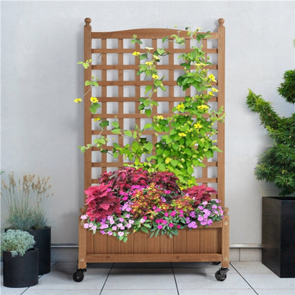 Raised Garden Bed with Trellis planter Box