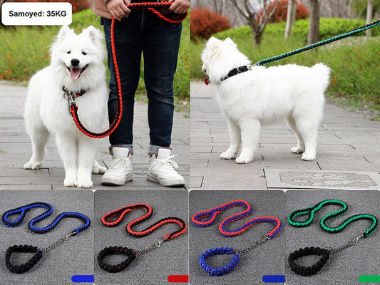 LARGE BLUE&RED Strong Dog Leash Climbing Rope Threaded Pet Training