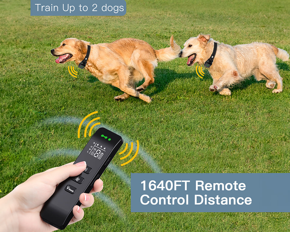 Vibrating Dog Collar No Shock