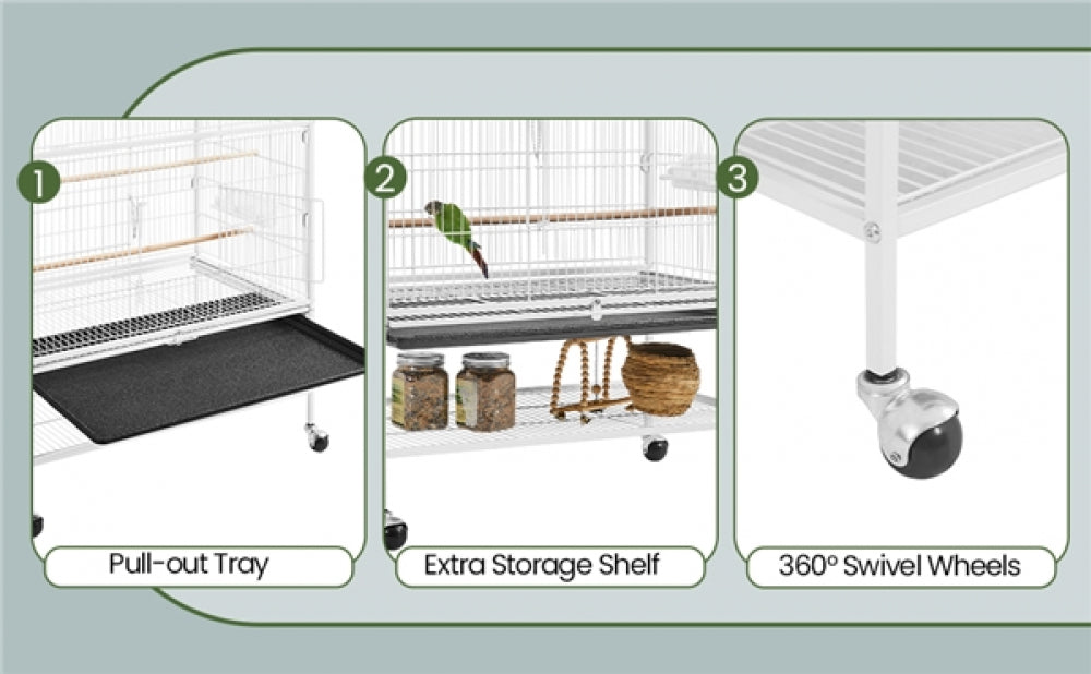 Bird Cage Parrot Cage