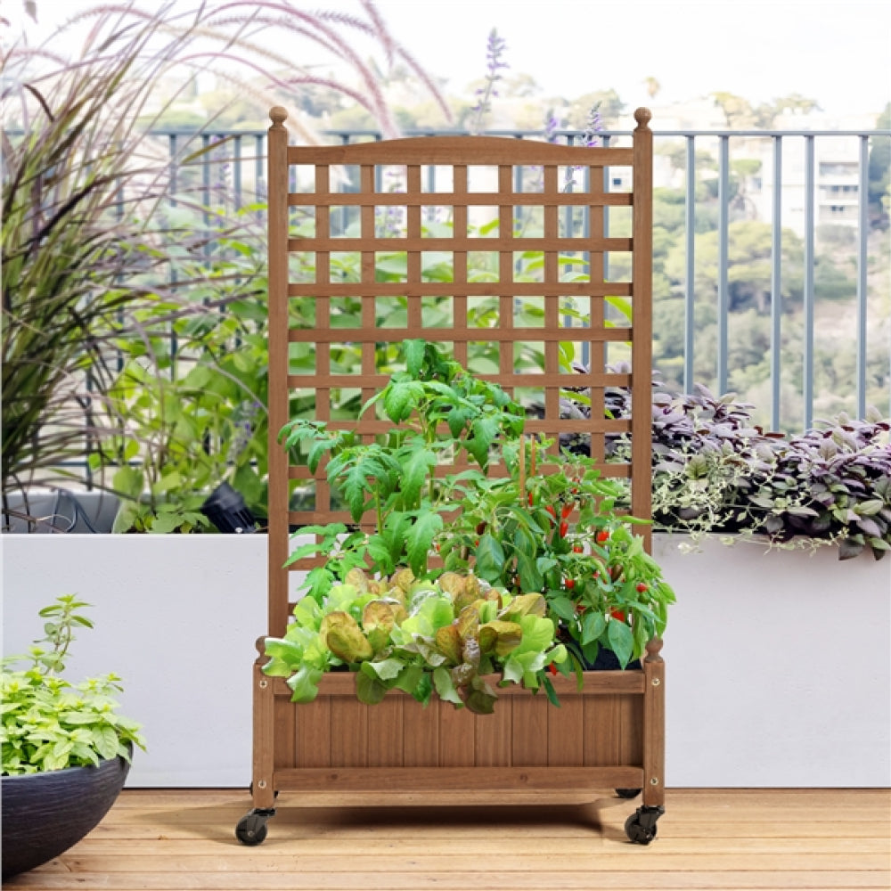 Raised Garden Bed with Trellis planter Box