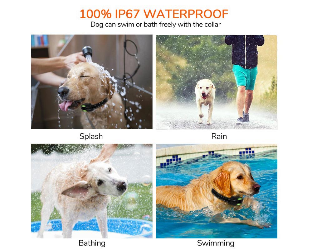 Dog Training Collar with LED Light