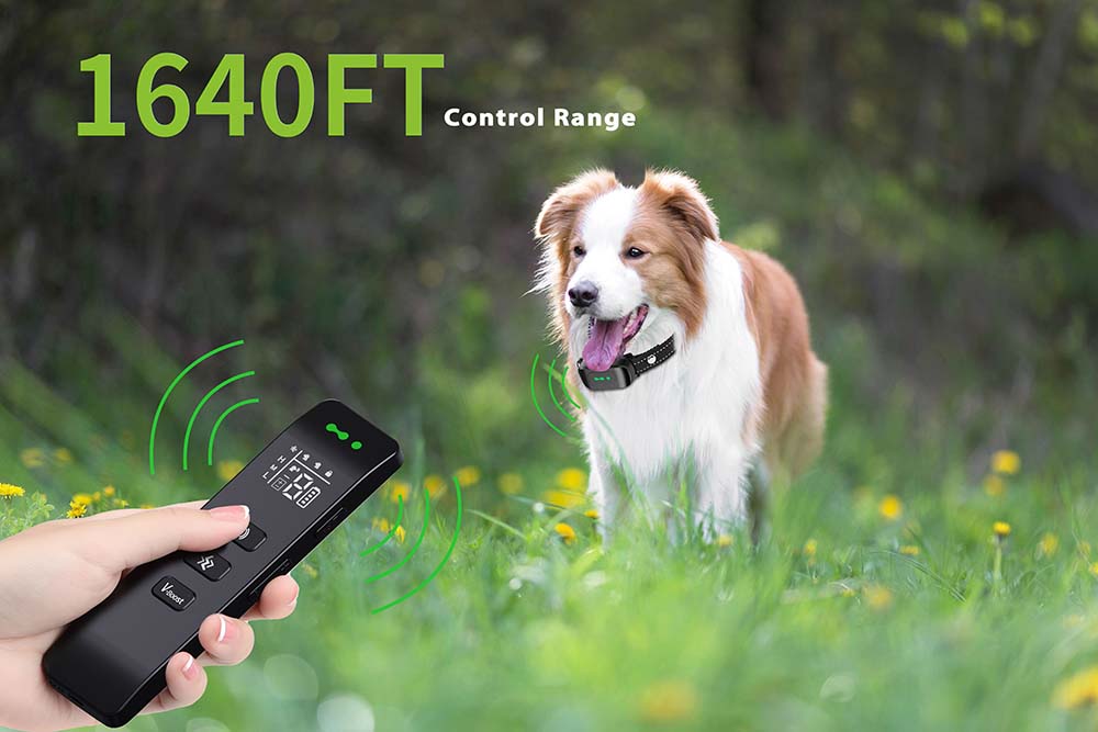 Vibrating Dog Collar No Shock