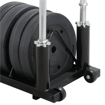 Horizontal Bumper Plate Rack Strength Fitness Rack Plate Holder