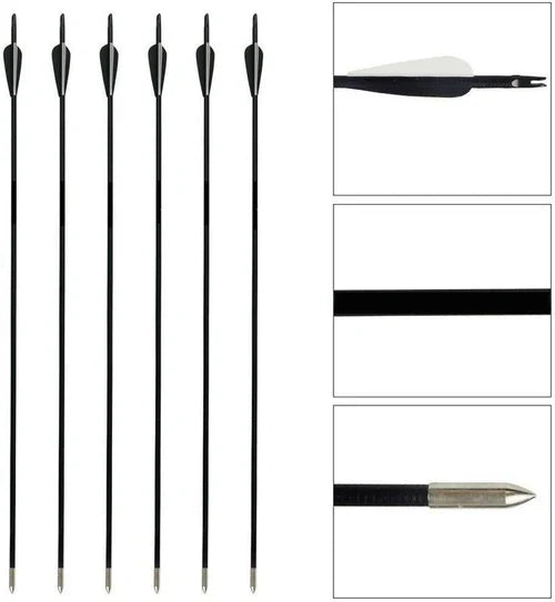 Hunting Archery Arrows (6 Arrows)