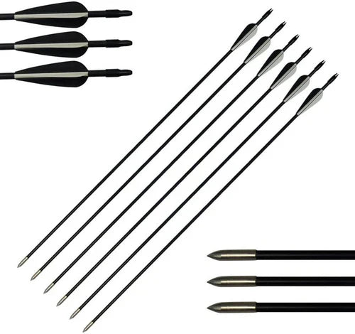 Hunting Archery Arrows (6 Arrows)