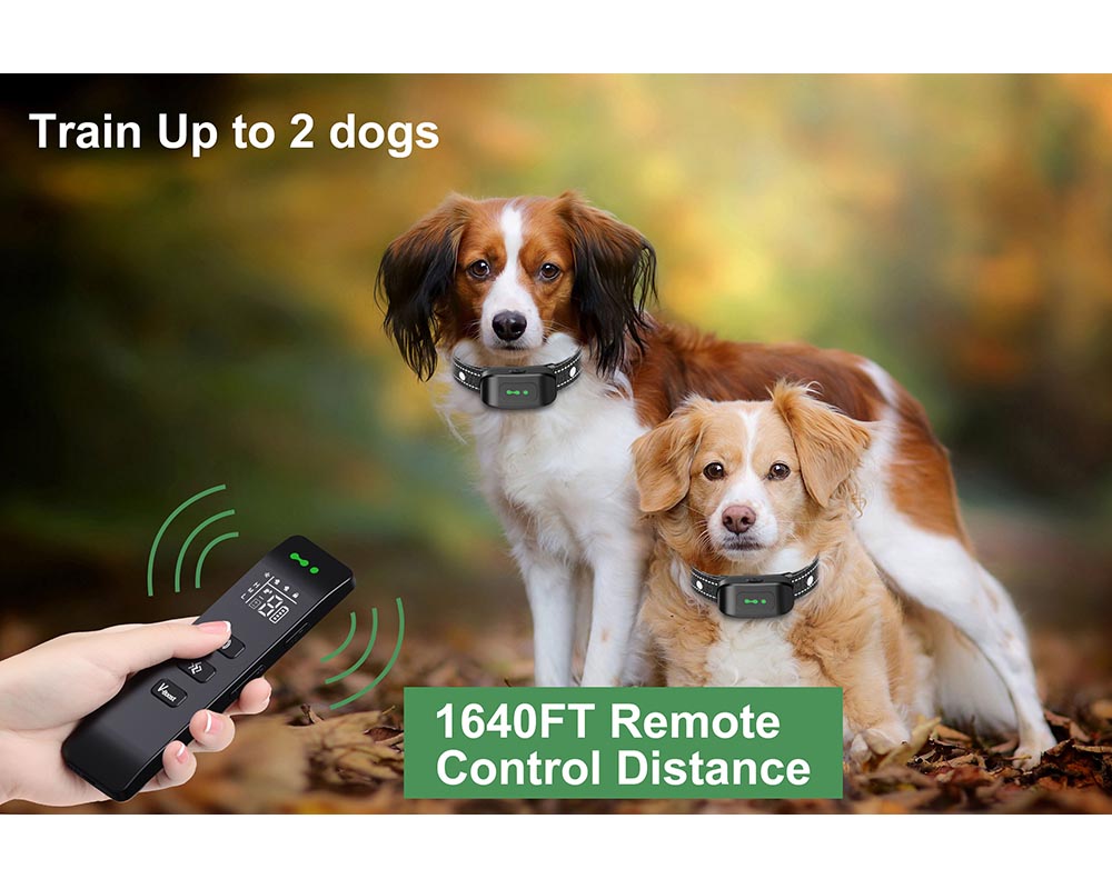 Vibrating Dog Collar No Shock