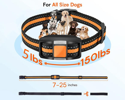 Dog Training Collar with LED Light