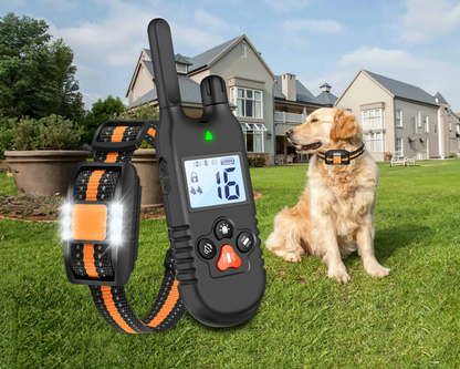 Dog Training Collar with LED Light