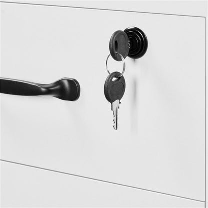 Mobile File Storage Organizer File Cabinet