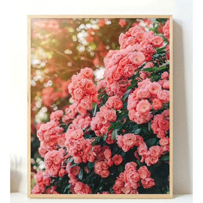 Adult Paint by Number Kit on Canvas  40x50 cm (with wooden frame) Pink World