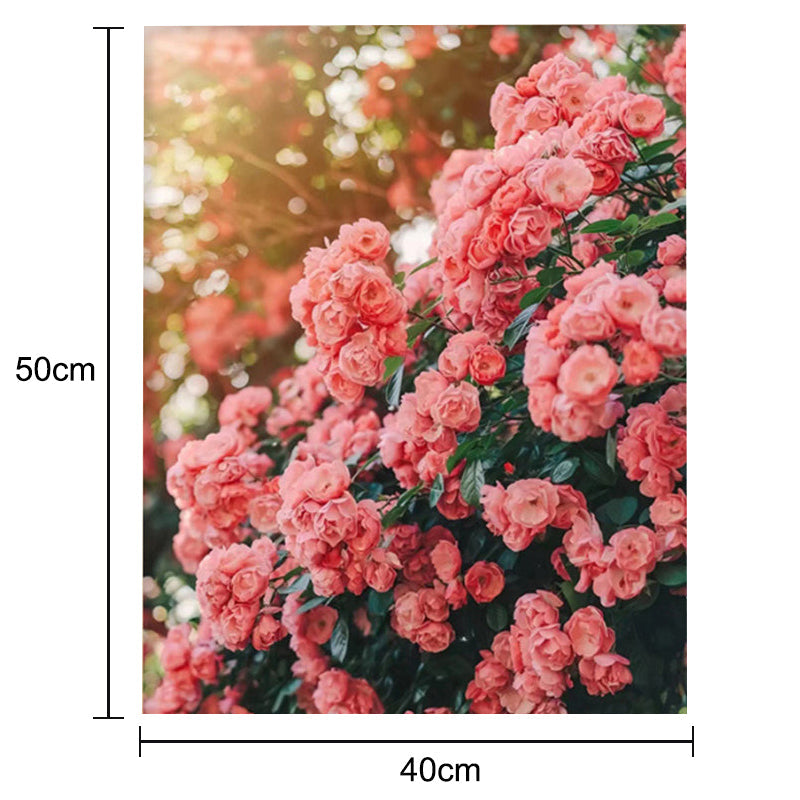 Adult Paint by Number Kit on Canvas  40x50 cm (with wooden frame) Pink World