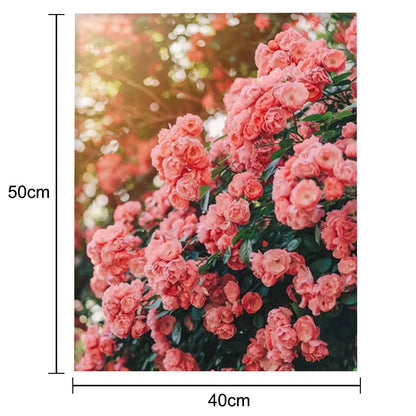 Adult Paint by Number Kit on Canvas  40x50 cm (with wooden frame) Pink World