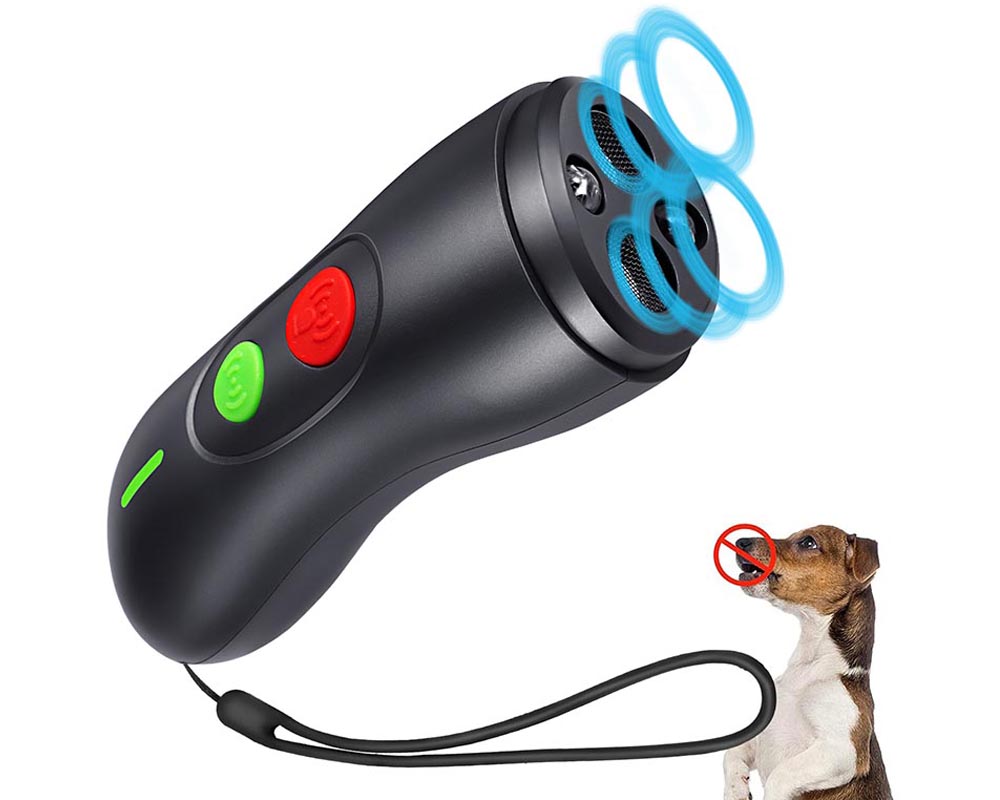 Dog training tool with torch light