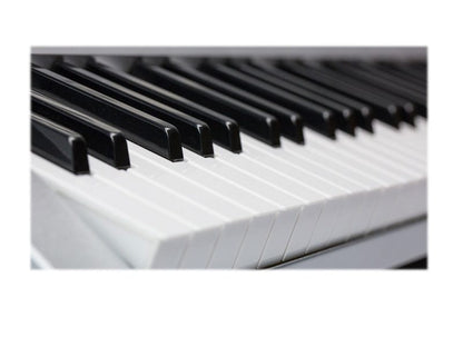 Electronic ORGAN KEYBOARD PIANO 61-Key Multi-Functional