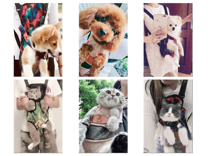 Pet/Puppy Travel Carry Bag, BLUE, L