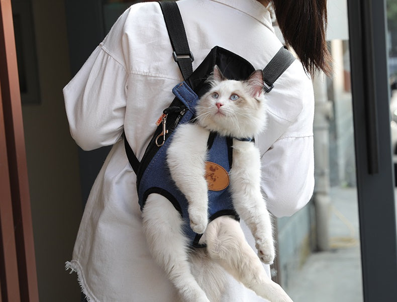 Pet/Puppy Travel Carry Bag, BLUE, XL