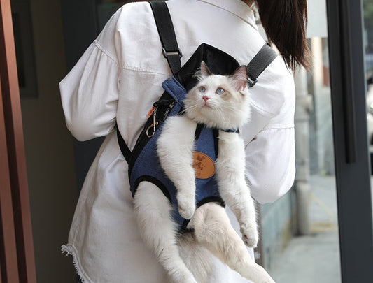 Pet/Puppy Travel Carry Bag, BLUE, L