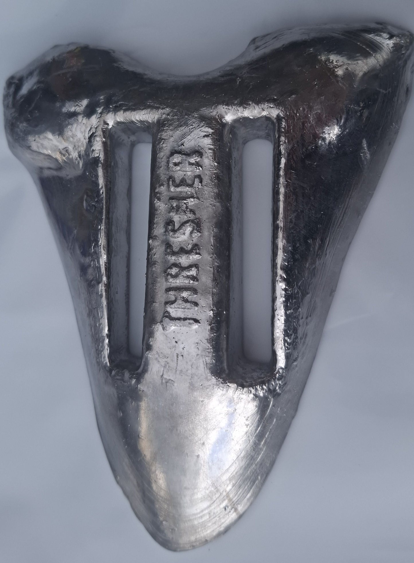 1.1 kg Megalodon Tooth Dive Weight