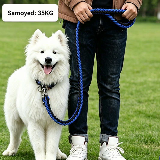 Strong Dog Leash Climbing Rope Threaded Pet Training