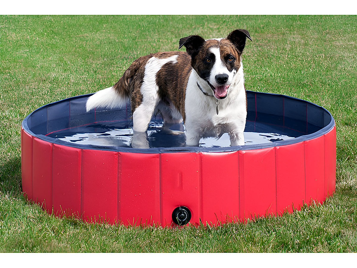 Dog Pet Swimming Pool 120CM