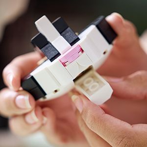 LEGO Ideas: Tuxedo Cat (21349)