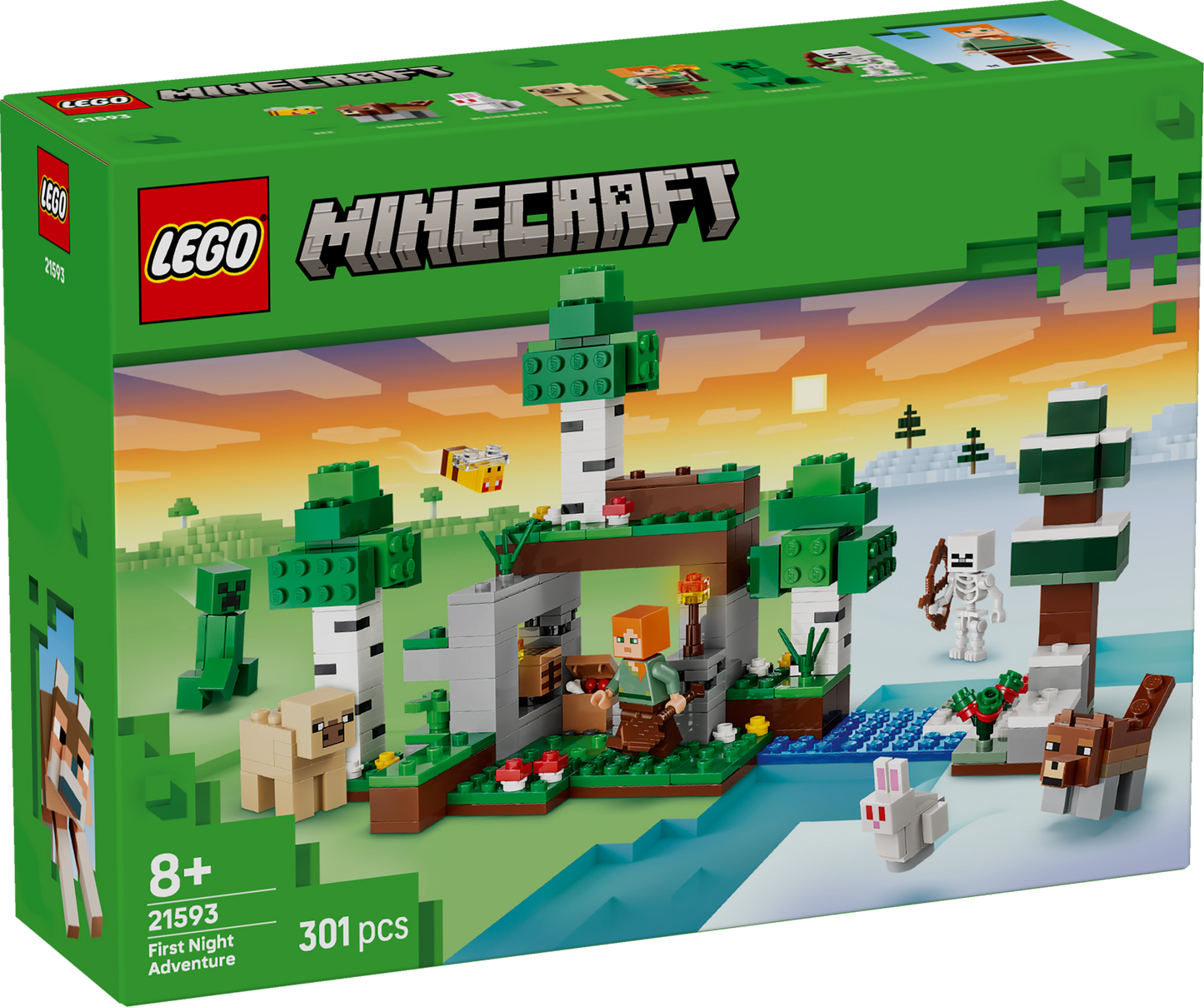 LEGO Minecraft: First Night Adventure (21593)