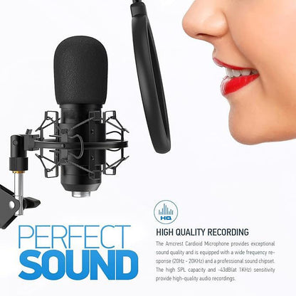 USB Condenser Microphone with Arm Stand for PC Computer