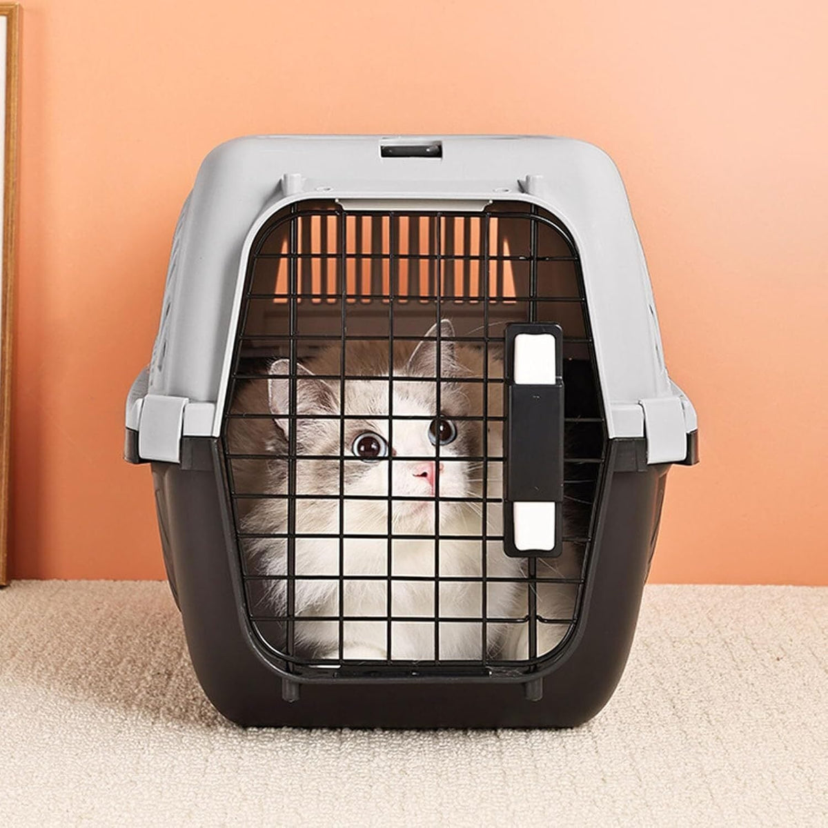 Cat pet portable travel cage