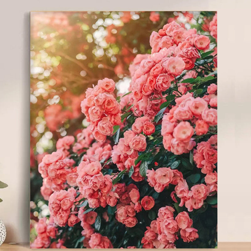 Adult Paint by Number Kit on Canvas  40x50 cm (with wooden frame) Pink World