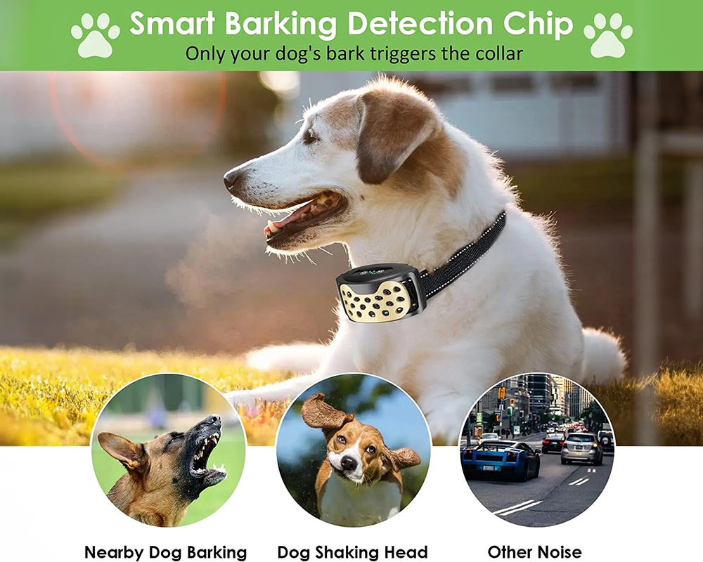No-Bark Dog Training Collar