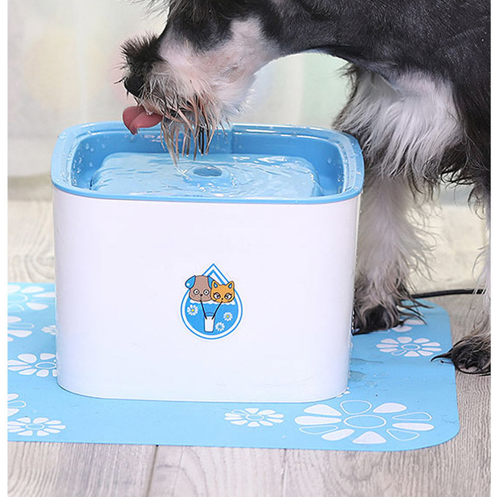 Pet water Drinking Fountain
