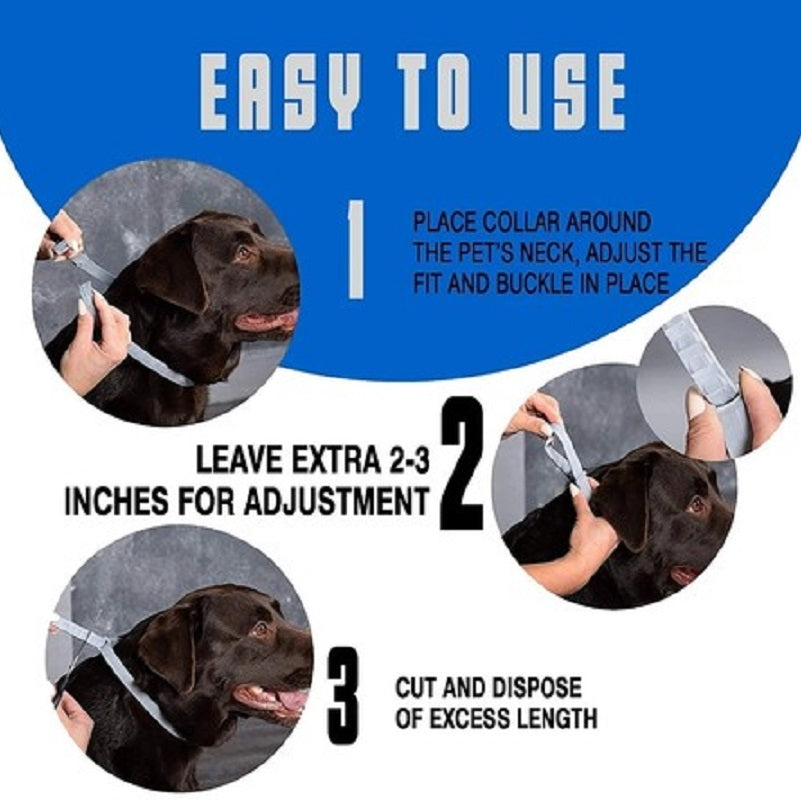 Flea and Tick Collar for Dogs, 8-month Flea and Tick Collar for Dog 63.5cm