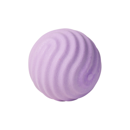 PIDAN Durable Bouncy Dog Toy Ball