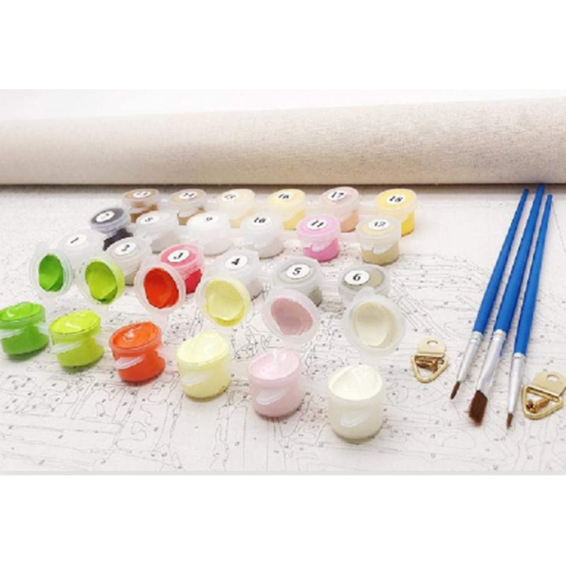 Adult Paint by Number Kit on Canvas  40x50 cm (with wooden frame)